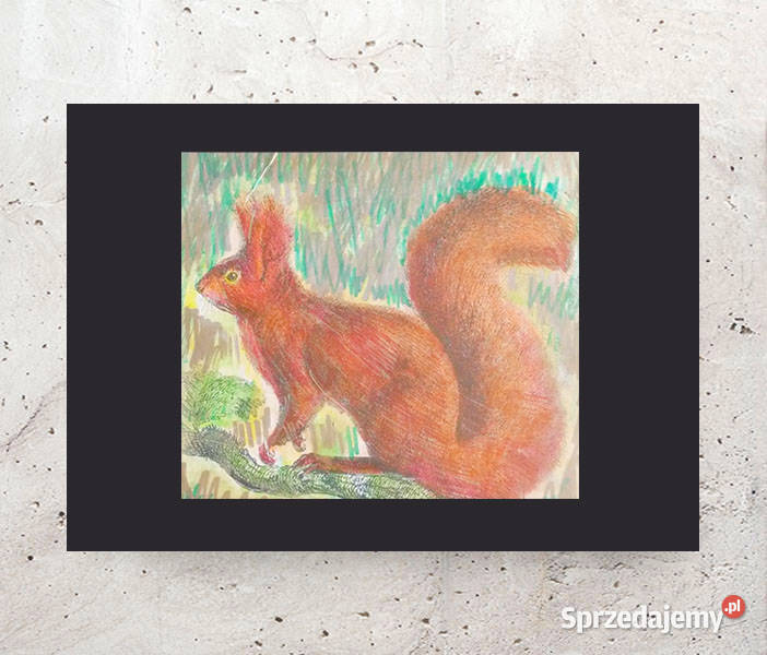 zwierzęta plakat A4 vintage obraz z wiewiórką