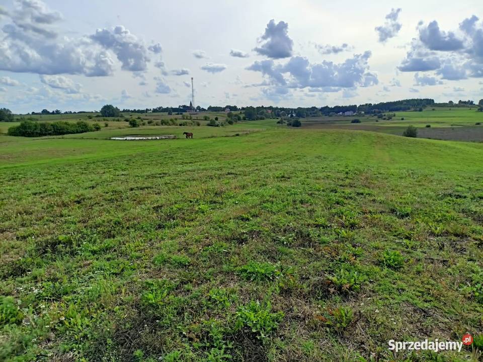 Sprzedam działkę rolną na Warmii i Mazurach 13 Sprzedaż Żegoty
