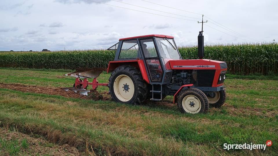 Ursus c385