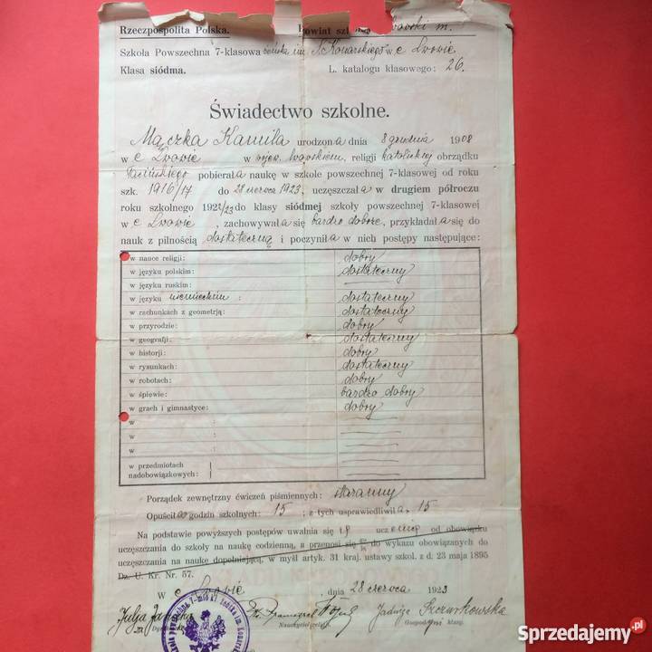 783 Lwów Świadectwo Szkolne Szczecin
