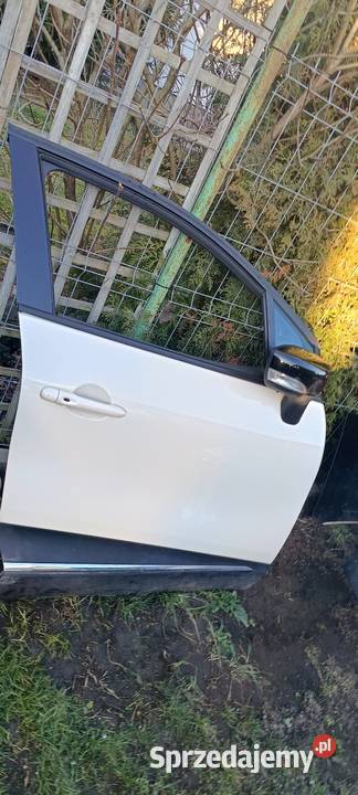 Drzwi do captur I prawa strona przód i tył