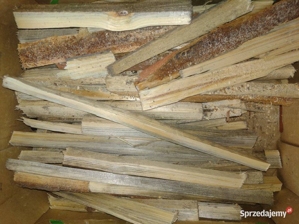 Sprzedam łuczywo rozpałkę sosna mokra Zbąszyń