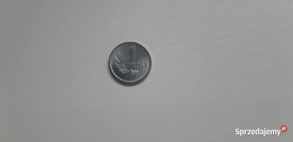 1 gr 1949 mennicza Koronowo