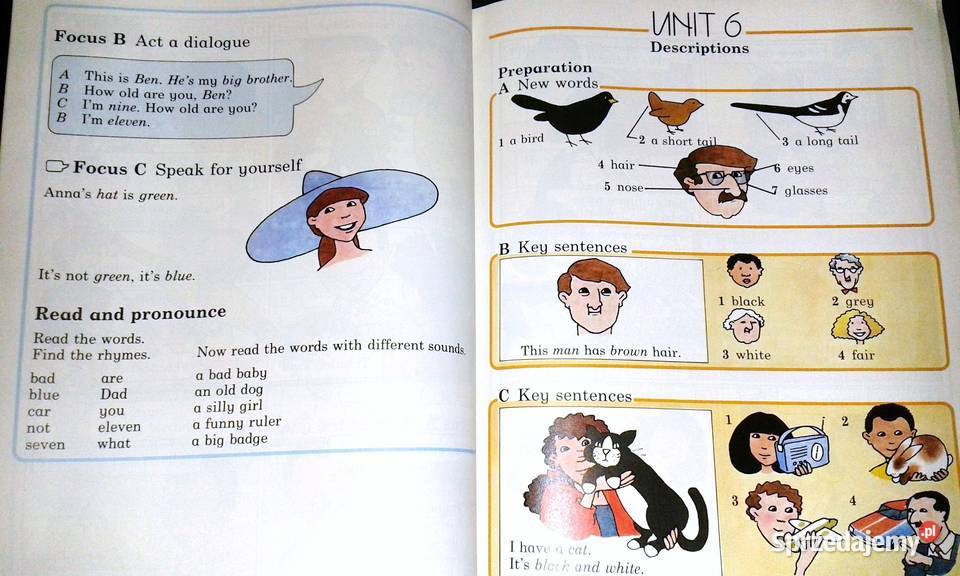 Pathway 1 Pupils Book Neil Hawkes Donald Dallas Pozostałe