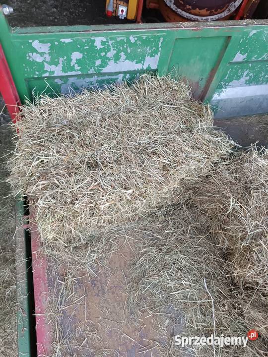 Siano w kostkach nie słoma bele Łopuszno