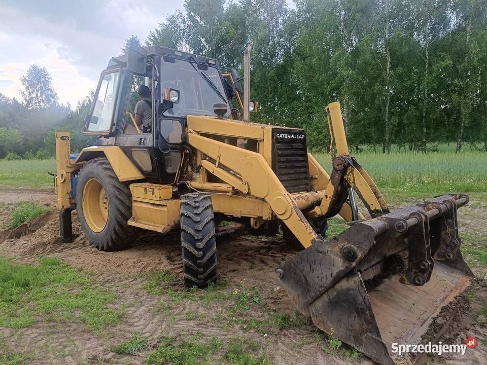 Cat 428