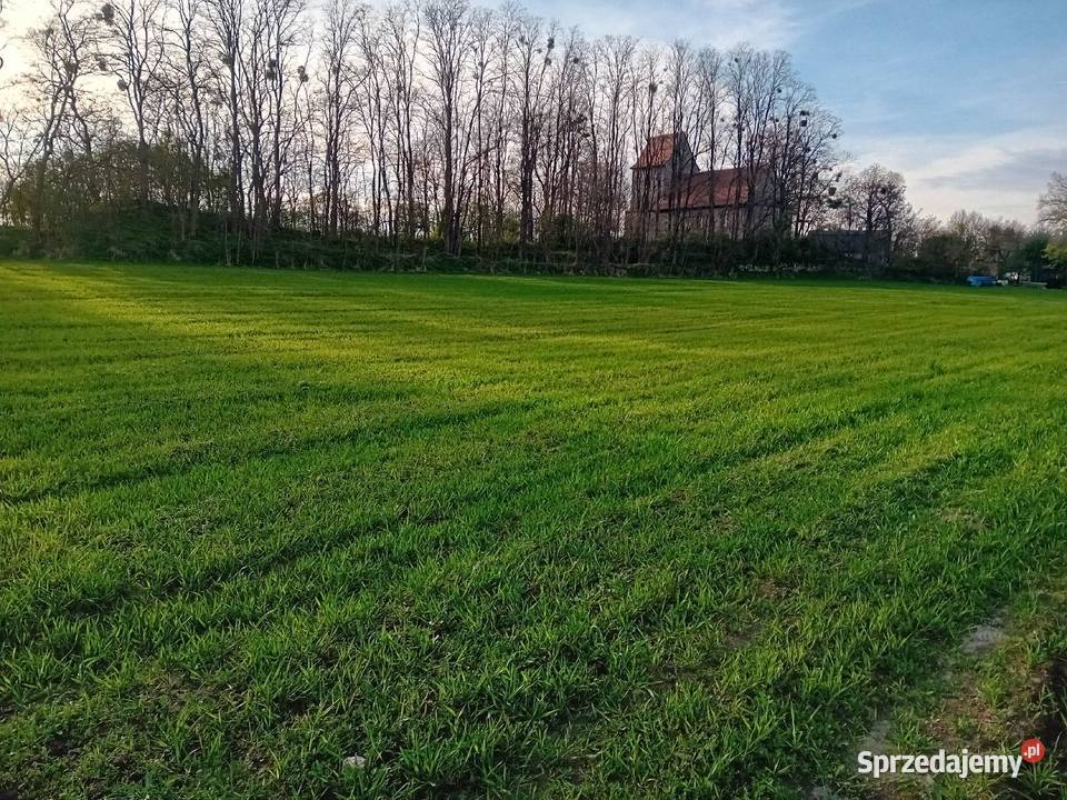 Binowo działka rolnobudowlana 2800m2 z MPZP