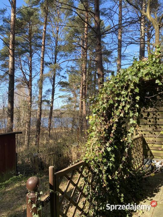 Domek jeziorem w lesie drewniane Zbychowo