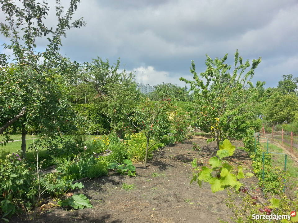 Działka rekreacyjna ogródek działkowy Wrocław