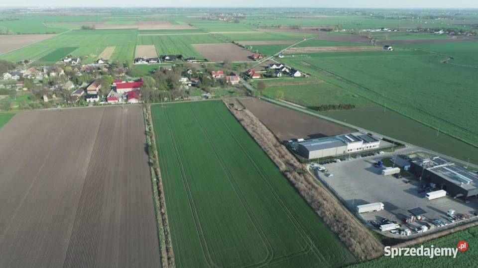 Działka 6000 m2 Milejowice Krajków Żórawina obok 127m