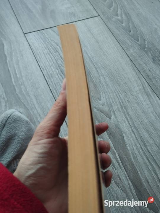 lot sokoła daphne du maurier wielkopolskie Poznań