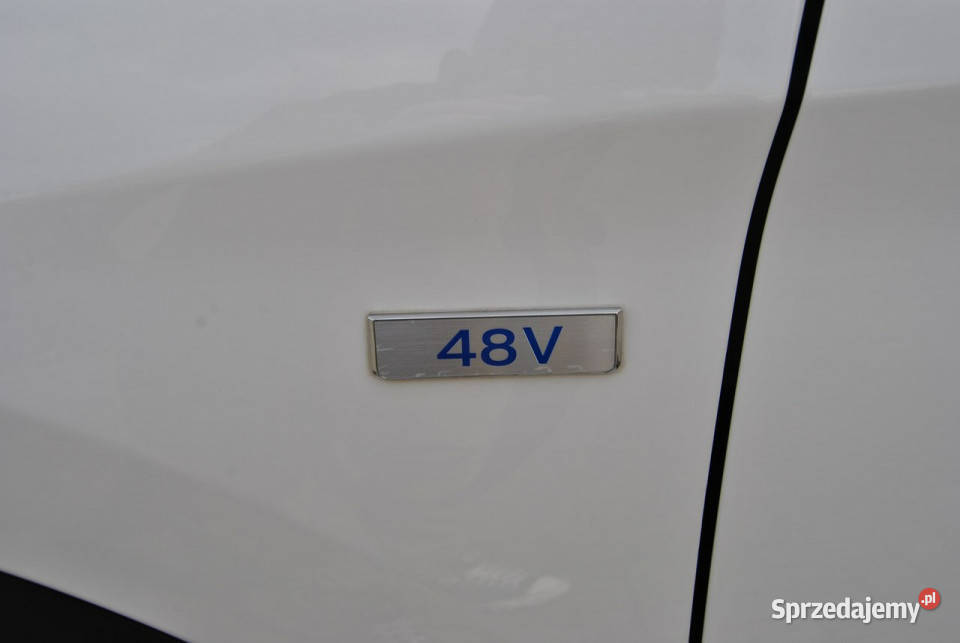 Hyundai Tucson 16 CRDI HYBRID48 V Kamera cofGPS Modliborzyce