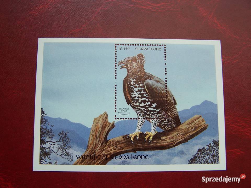Sierra Leone 1990 MNH Fauna Ptaki Orzeł