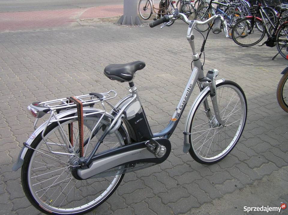 Rower elektryczny Gazelle Easyglider Kampinos