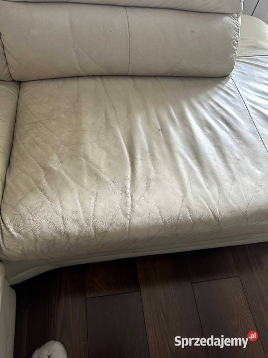 Medel divan mazowieckie Warszawa