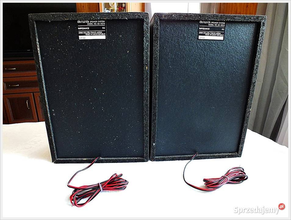 Kolumny AIWA SXNS10 Piękne dynamiczne i czyste Żary