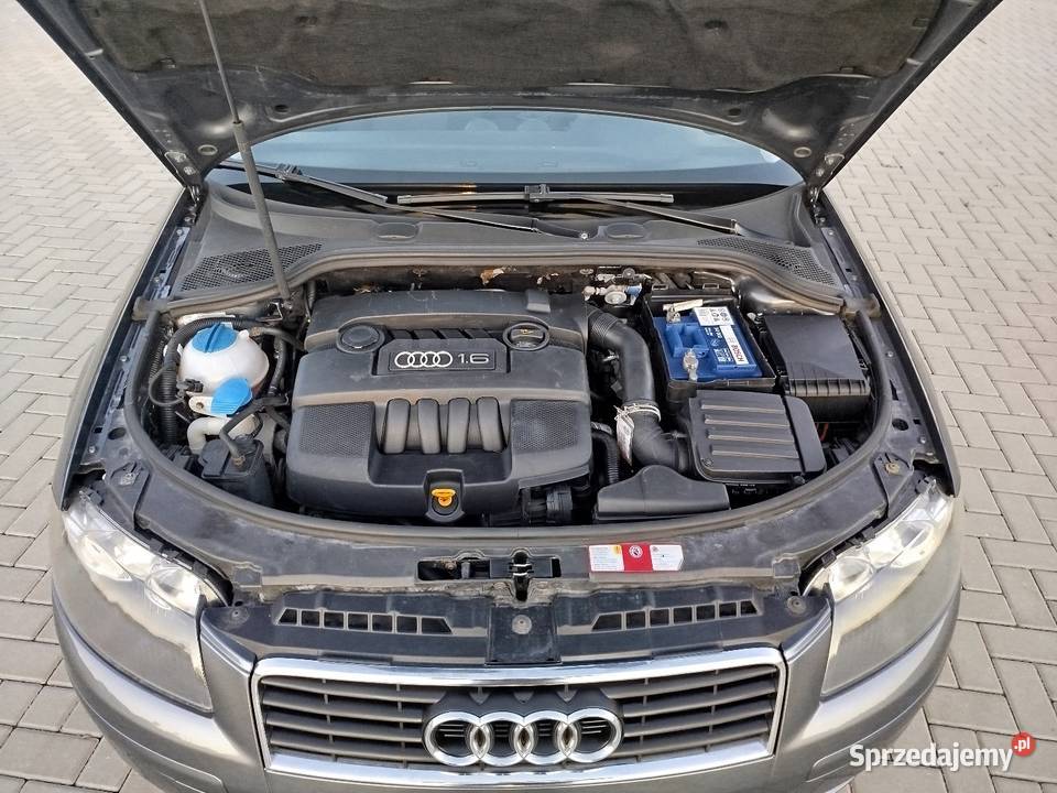 Audi a3 8p 16 Benzyna Gaz sekwencja 2004 zadbany lubelskie
