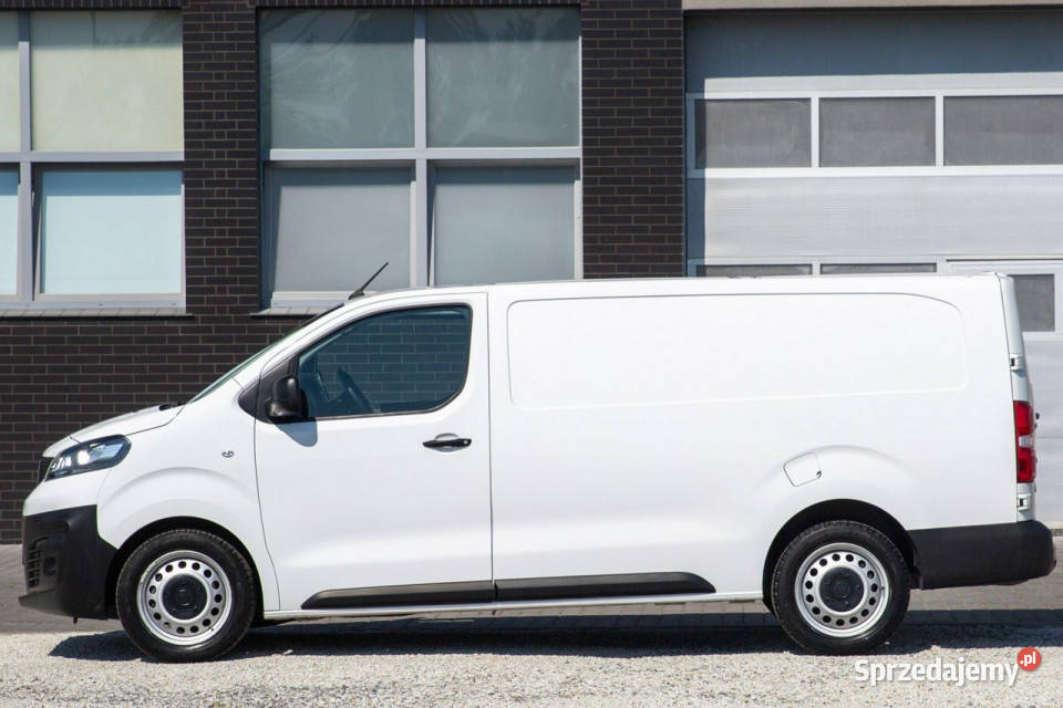 Fiat Scudo 20 L3H1 LONG Nowa Chłodnia 0C biały