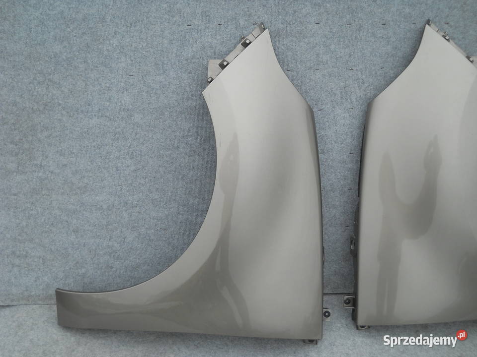 RENAULT SCENIC III 08 BŁOTNIK LEWY PRAWY osobowe Siechnice