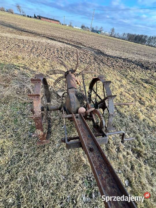 Konna kopaczka do ziemniaków Nagradowice