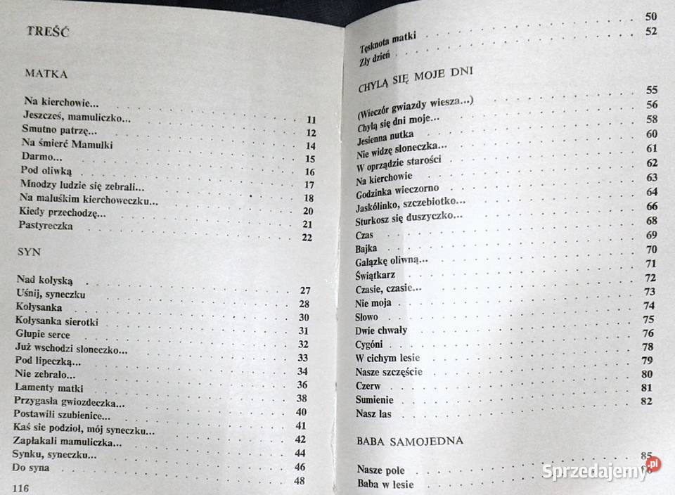 Chylą się moje dni Emiia Michalska Chełm