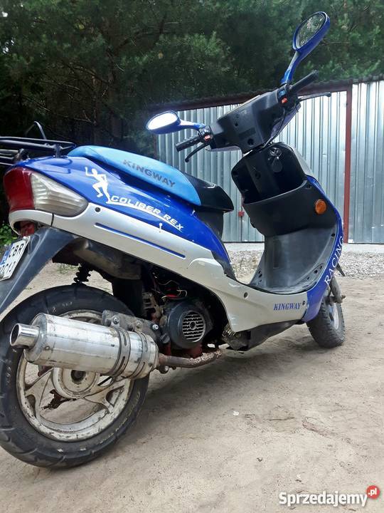 Kingway Coliber Rex 8050 kupiony w Polsce Brodnica