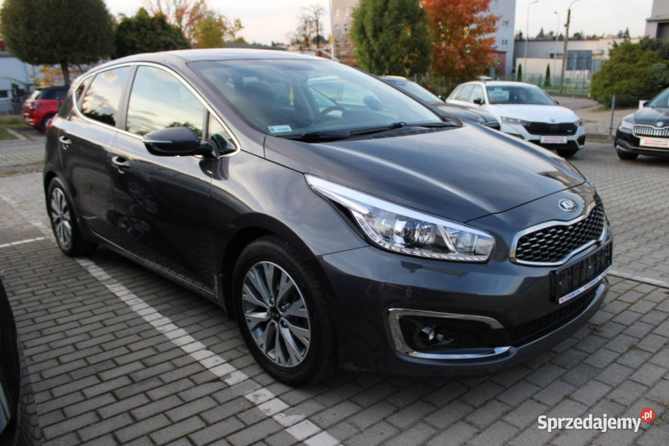 KIA Ceed 2017r Salon Kamera Grzane Rok produkcji 2017 sprzedam
