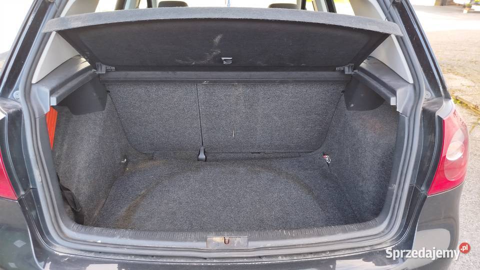 Vw Golf V GOAL 19 TDI 105 Wyposażenie Hatchback Bytów