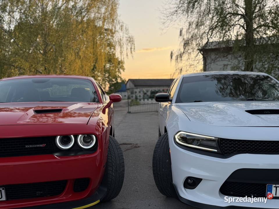Dodge Challenger OKAZJA TEXAS Sandomierz