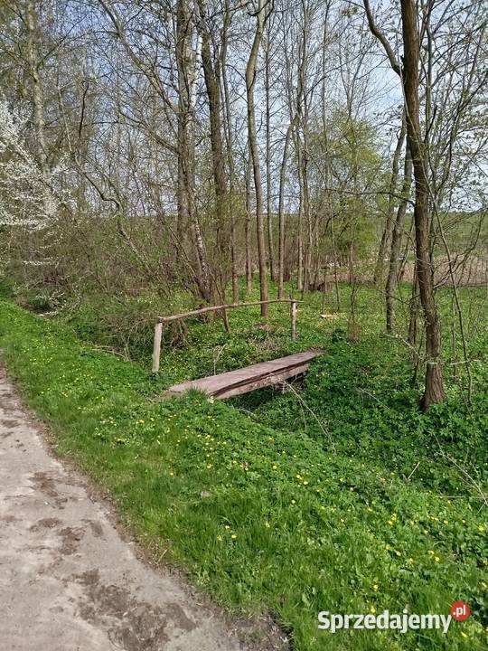 Sprzedam siedlisko z polem ornym klasy Telatyn