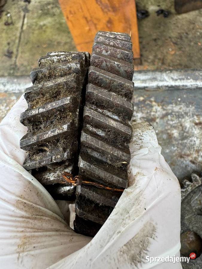 Dnieor Oryginalny KOŁA ROZRZĄDU Nowy Przemyśl