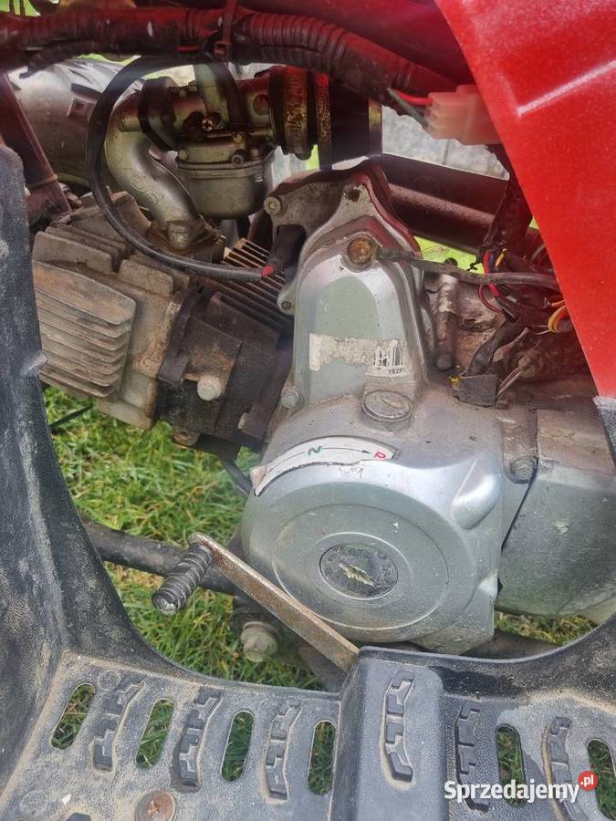 Quad Kingway minicatR 110 Świbie