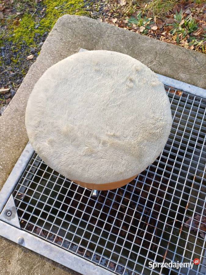 Retro pufa obrotowa skórkowa z 1972 roku Lubań