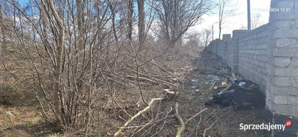 Wycinka drzew krzewówcięcie tui kompleksowe Pozostałe