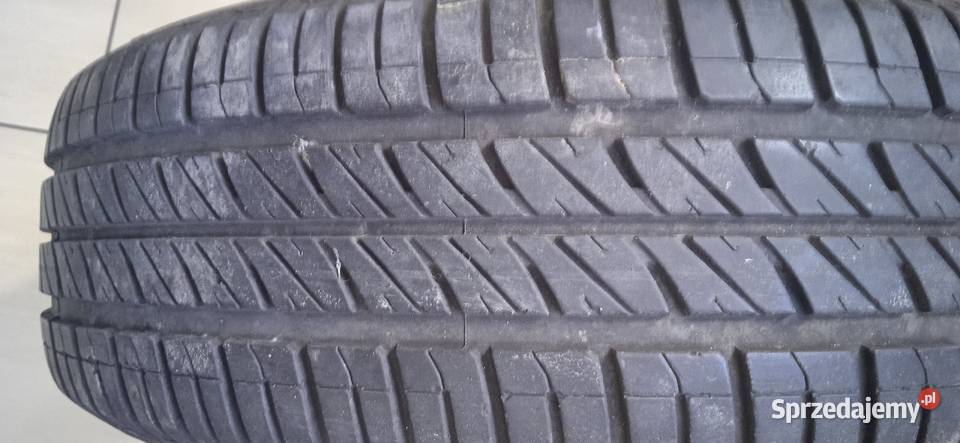 Opona Dębica Passio 2 17565 R14 1 sztuka Pszczółki