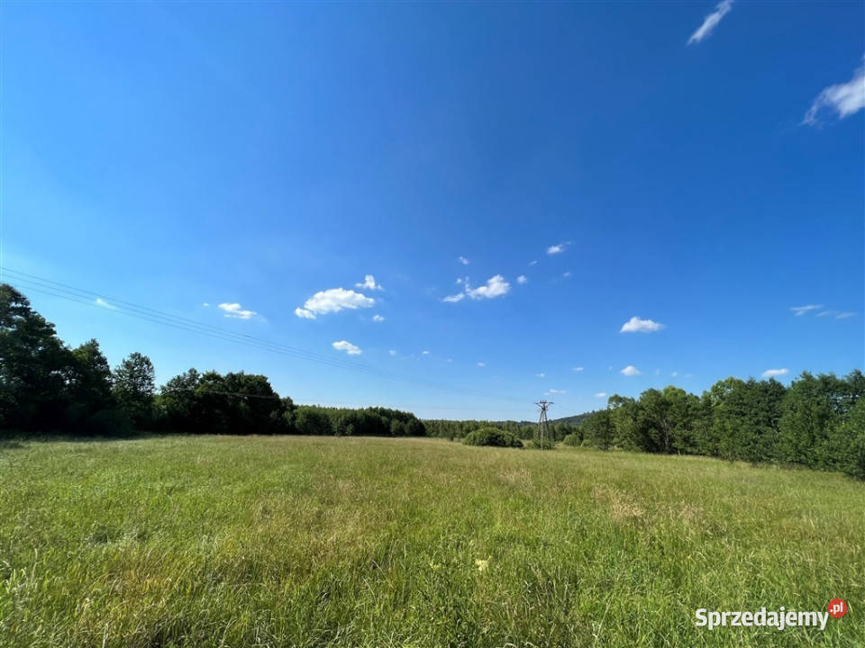 Świetna działki inwestycyjnej w Sosnówce dolnośląskie Sosnówka