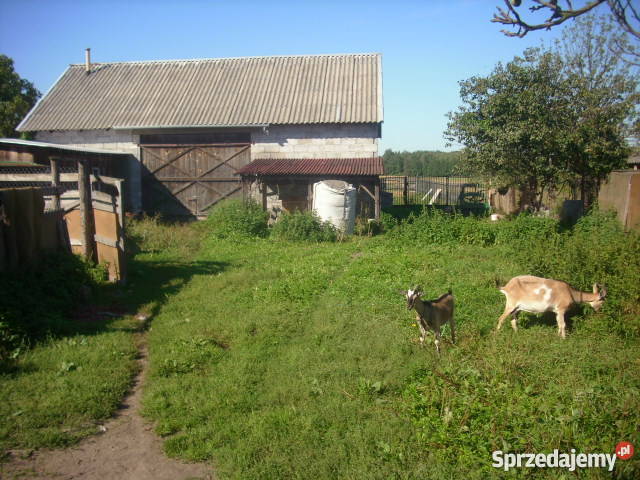 Siedlisko z domem 1 ha ziemi do remontu Garwolin sprzedam
