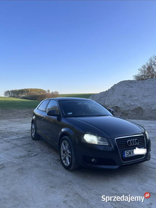 Audi A3 8PA 16TDI 105 Żarki