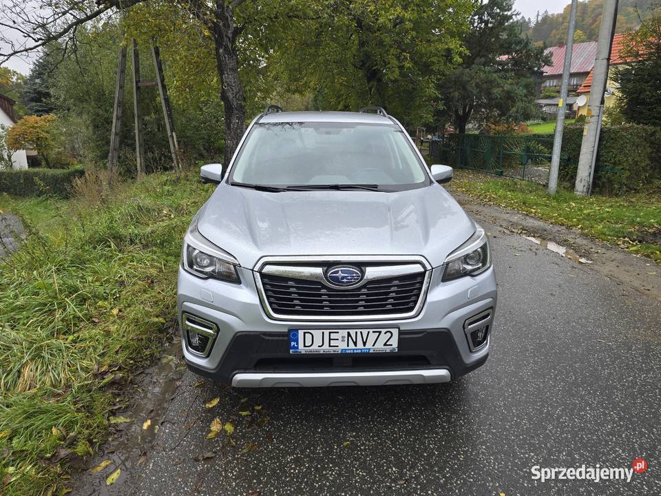 EBoxer 20 immobilizer Kowary