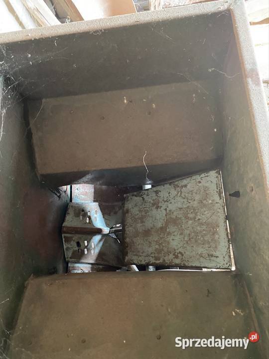 Sadzarka czeska wielkopolskie