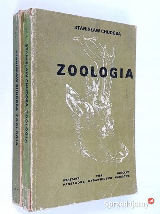 ZOOLOGIA Chudoba fa Szczecin