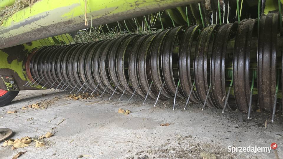 Class rollant 250 roto cup Rolujące (belujące) mazowieckie Zwola