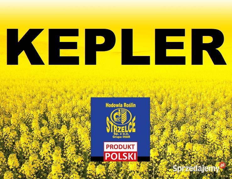 Rzepak Strzelce Kepler Buteo Start Człuchów