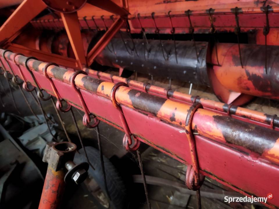 Cheder do Bizona łódzkie