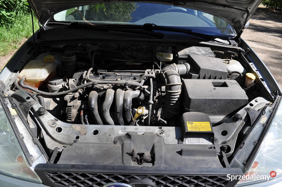 Ford Focus 2004 16 fx Olsztyn
