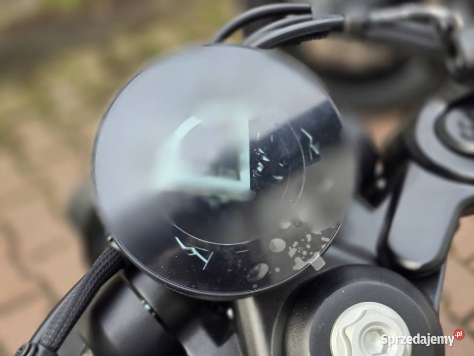 Benda Napoleon 250 Kobyłka