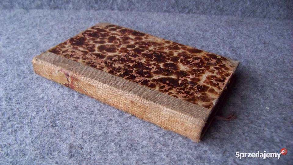 HRABINA COSEL J I KRASZEWSKI 1925 Zakopane sprzedam