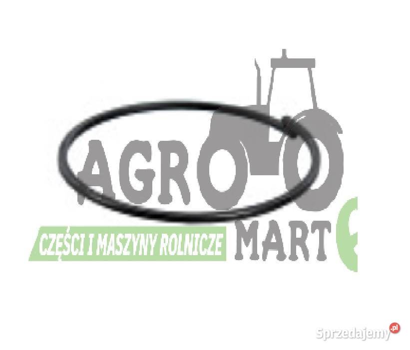 5175981 PIERŚCIEŃ SPRĘŻYSTY OSADCZY CNH Wichrów