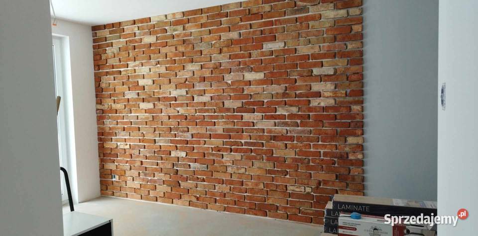 Płytki z lica cegłystara cegła Koszalin sprzedam