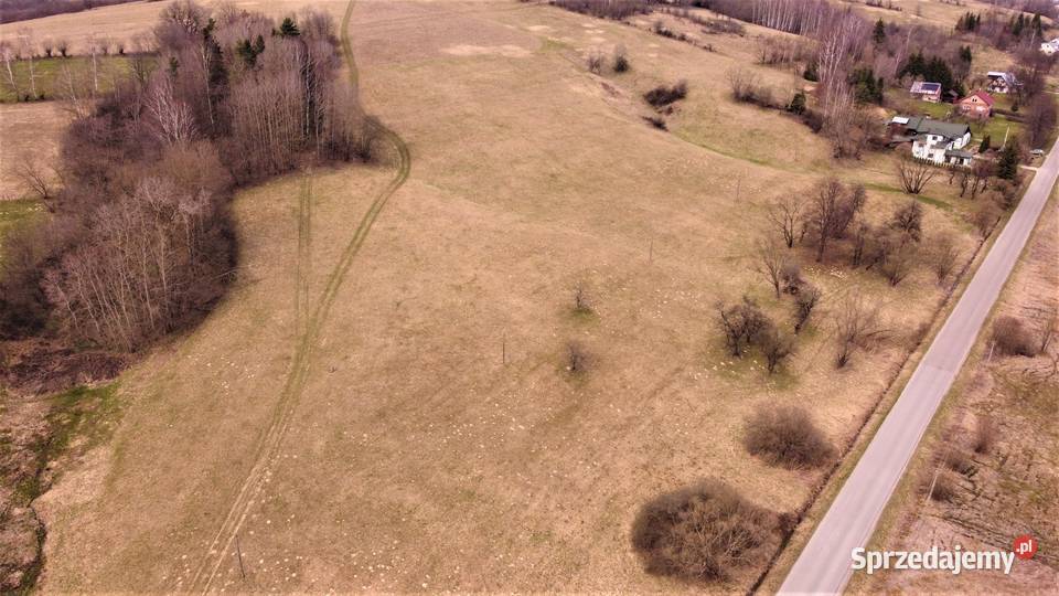 85ha koło Ustrzyk Dolnych 11 działek 8000ar Ustrzyki Dolne